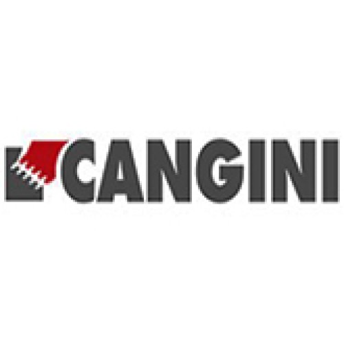 Cangini