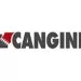 Cangini